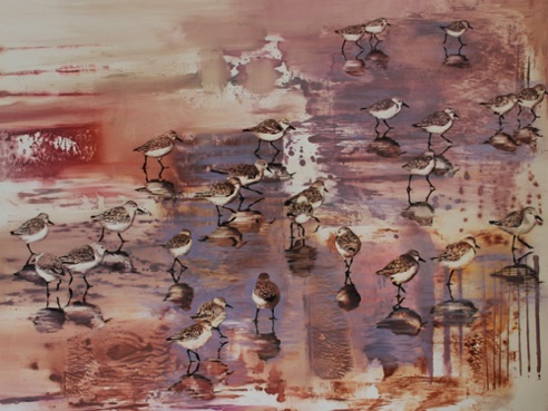 Snowy Plovers
36 x 48
oil on paper on aluminum